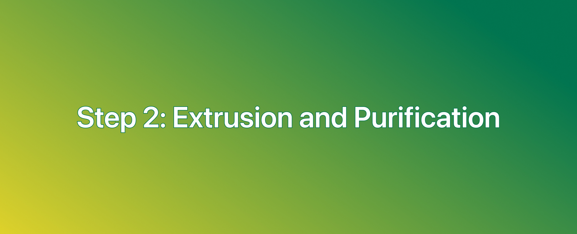 Step 2_ Extrusion and Purification